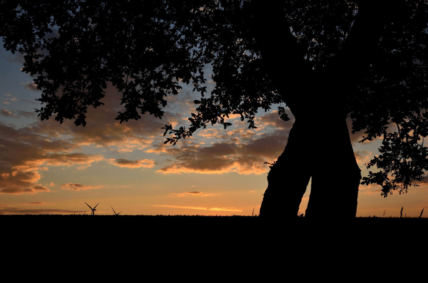 Sonnenuntergang im Juni 2016