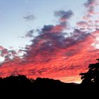 Sonnenuntergang im Jura