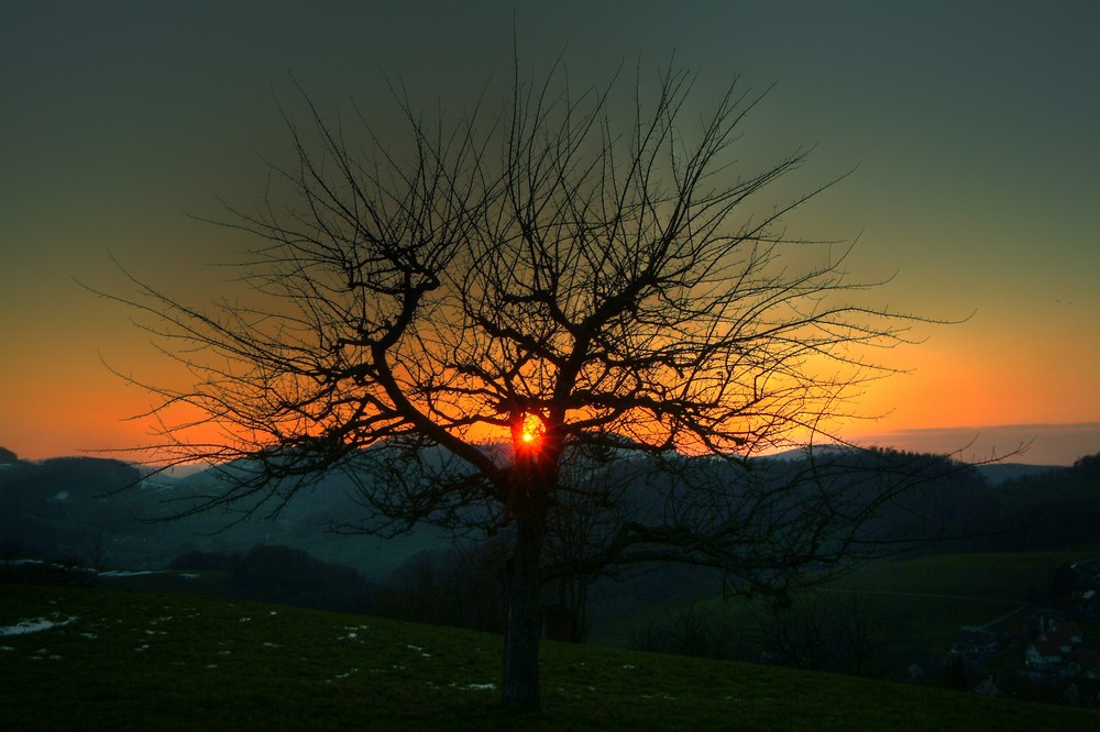 Sonnenuntergang im Jura