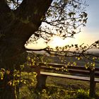 Sonnenuntergang im Kaiserstuhl