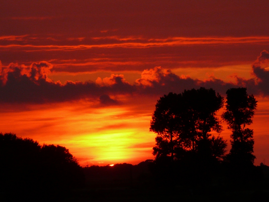 Sonnenuntergang im Katinger Watt