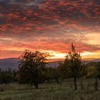 Sonnenuntergang im Kirdorfer Feld