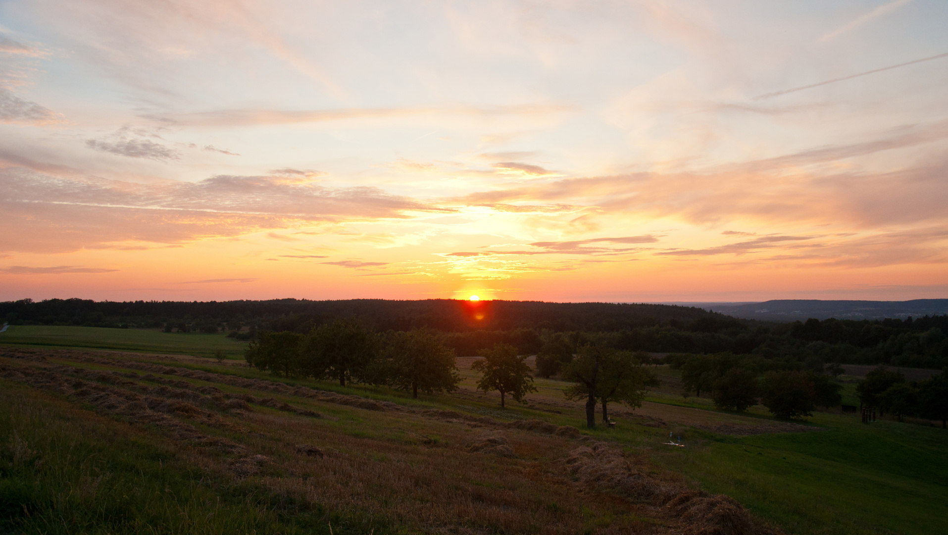 Sonnenuntergang im Kirschhain