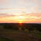 Sonnenuntergang im Kirschhain