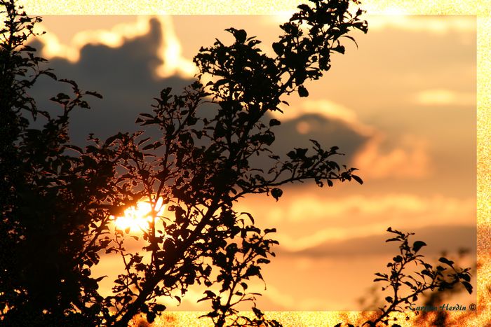 sonnenuntergang im koren...