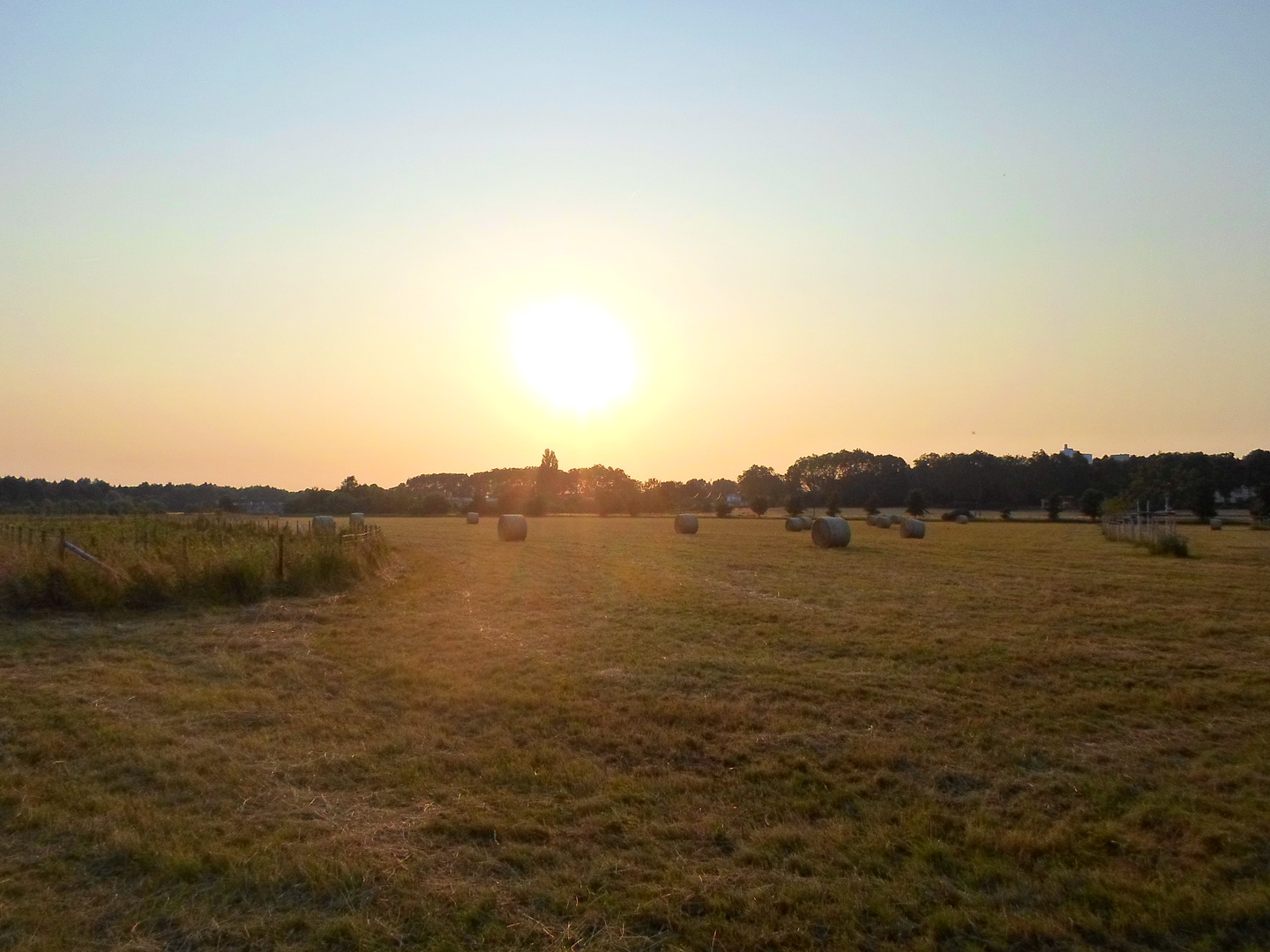 Sonnenuntergang im Kornfeld