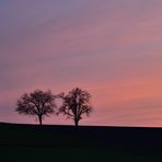 Sonnenuntergang im Kraichgau