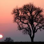 Sonnenuntergang im Kraichgau