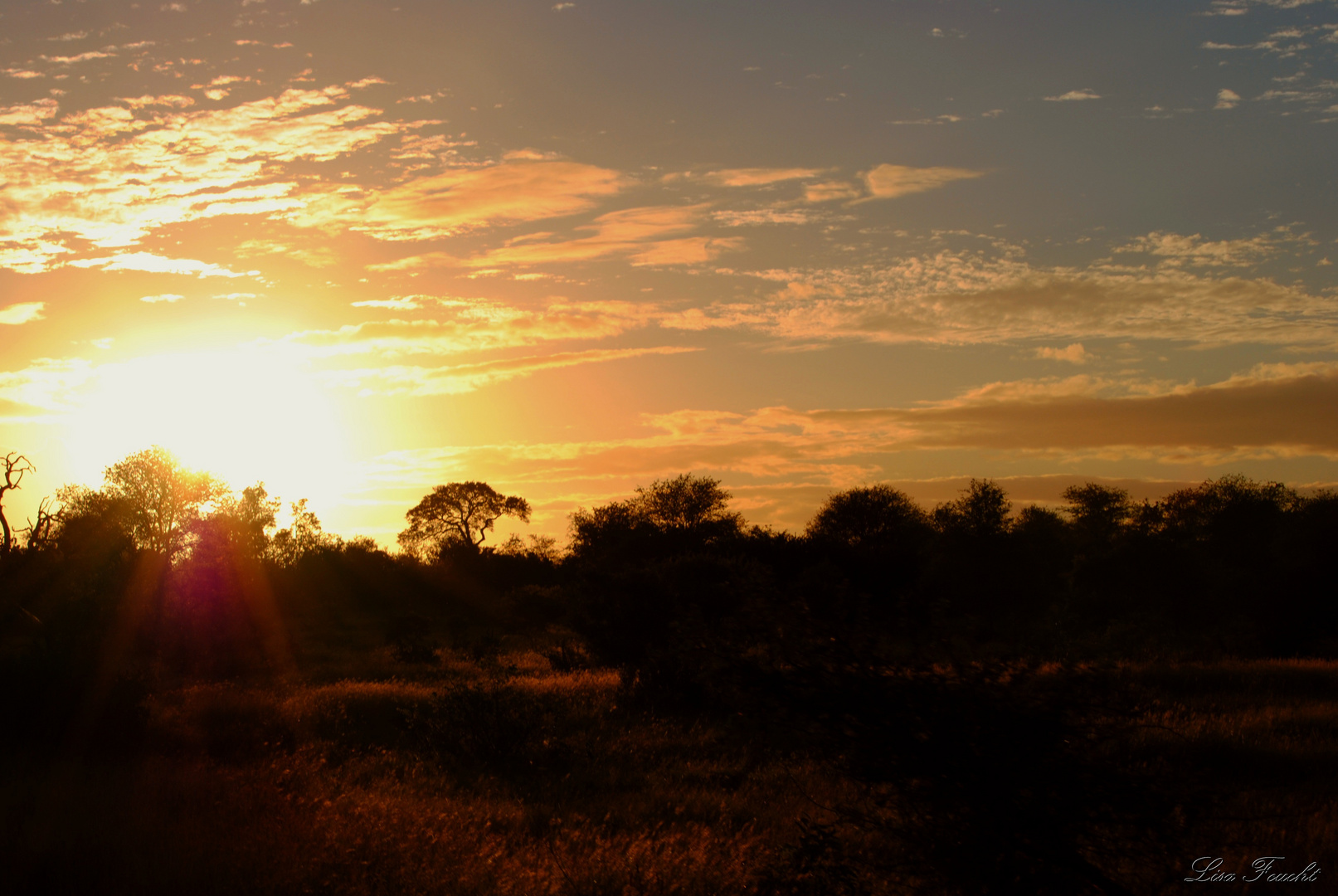 Sonnenuntergang im Krüger NP