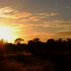 Sonnenuntergang im Krüger NP