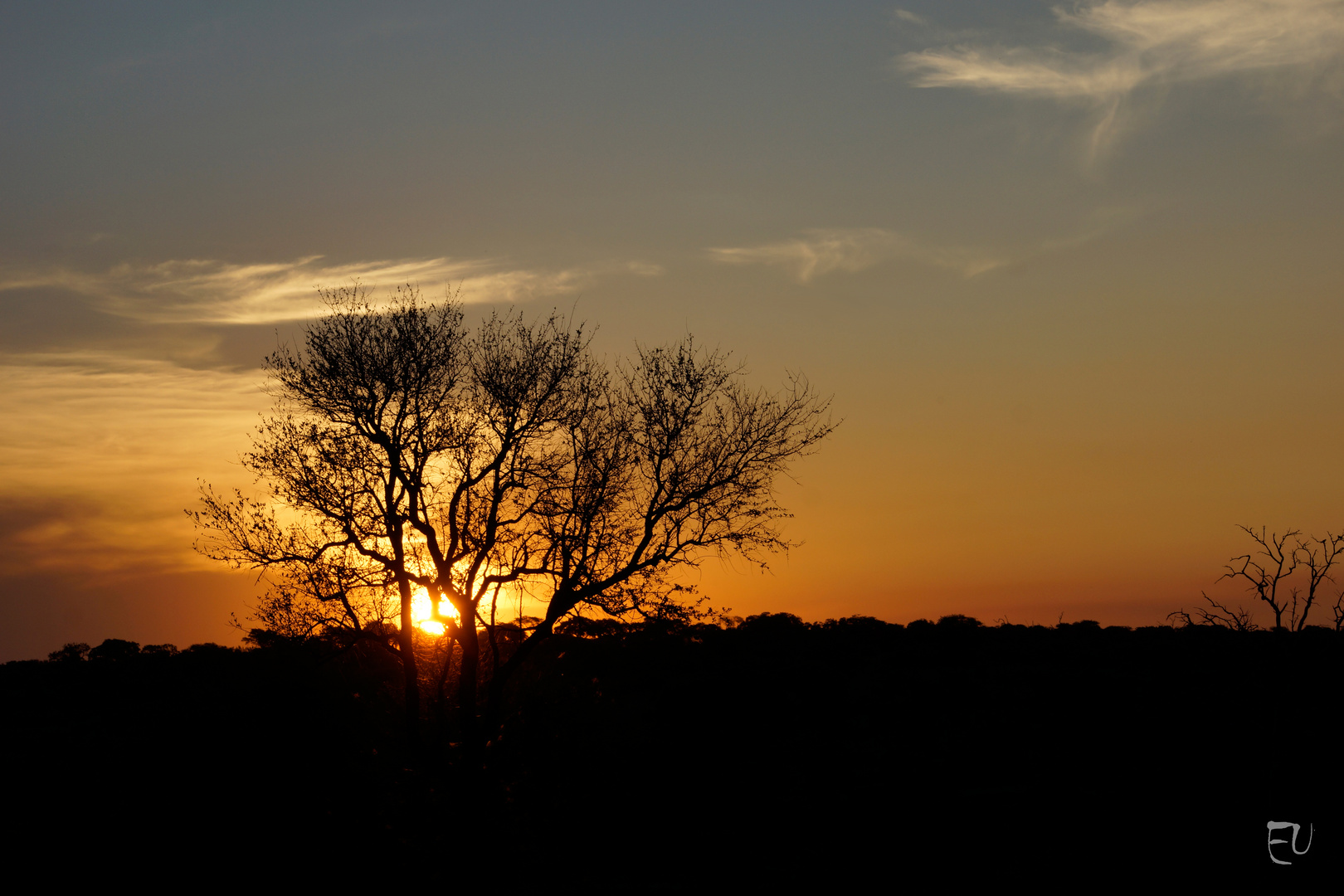 Sonnenuntergang im Krüger NP