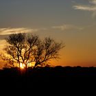 Sonnenuntergang im Krüger NP