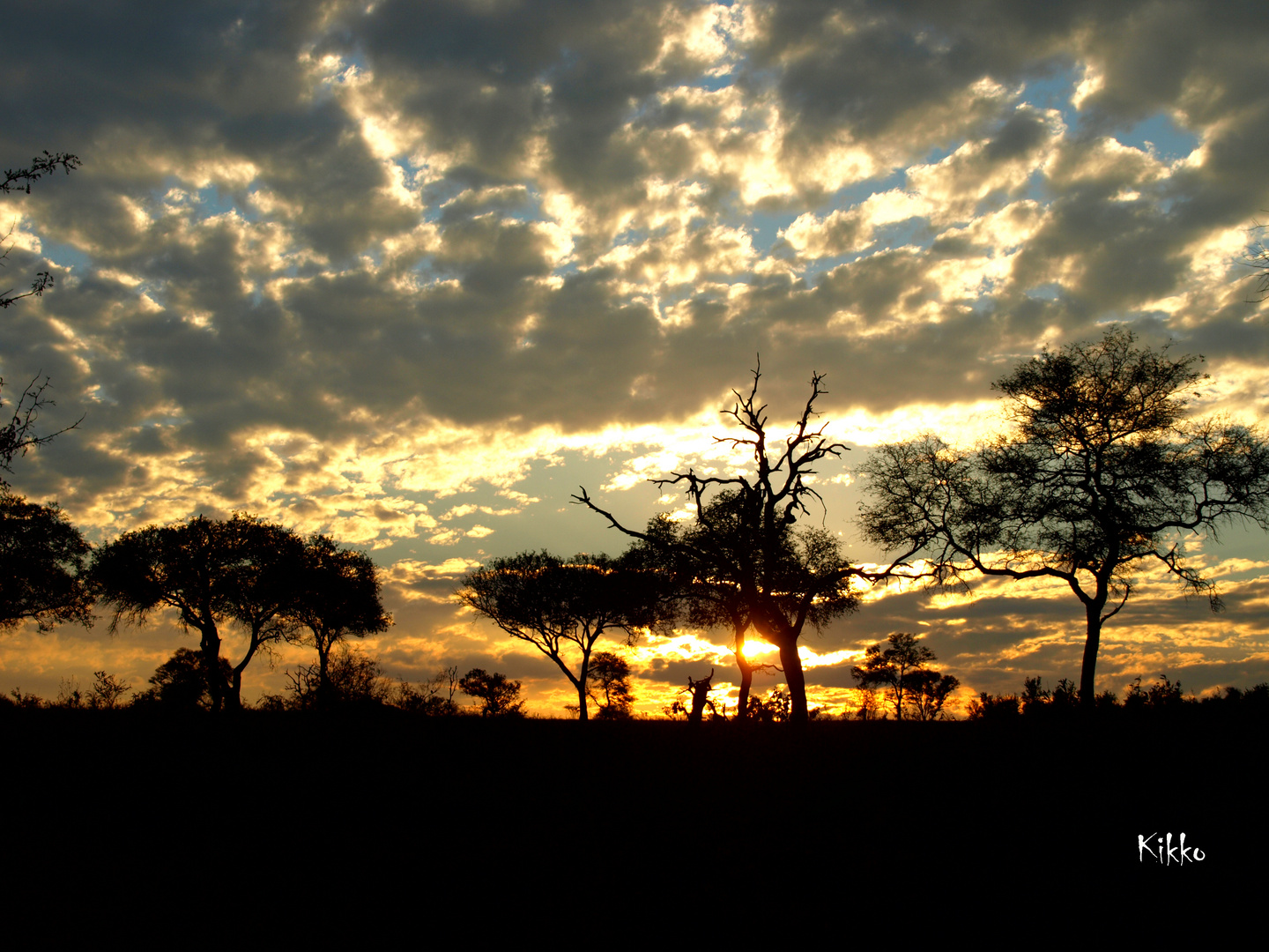 Sonnenuntergang im Krügerpark 2 (Südafrika)
