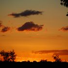 Sonnenuntergang im Krügerpark