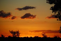 Sonnenuntergang im Krügerpark