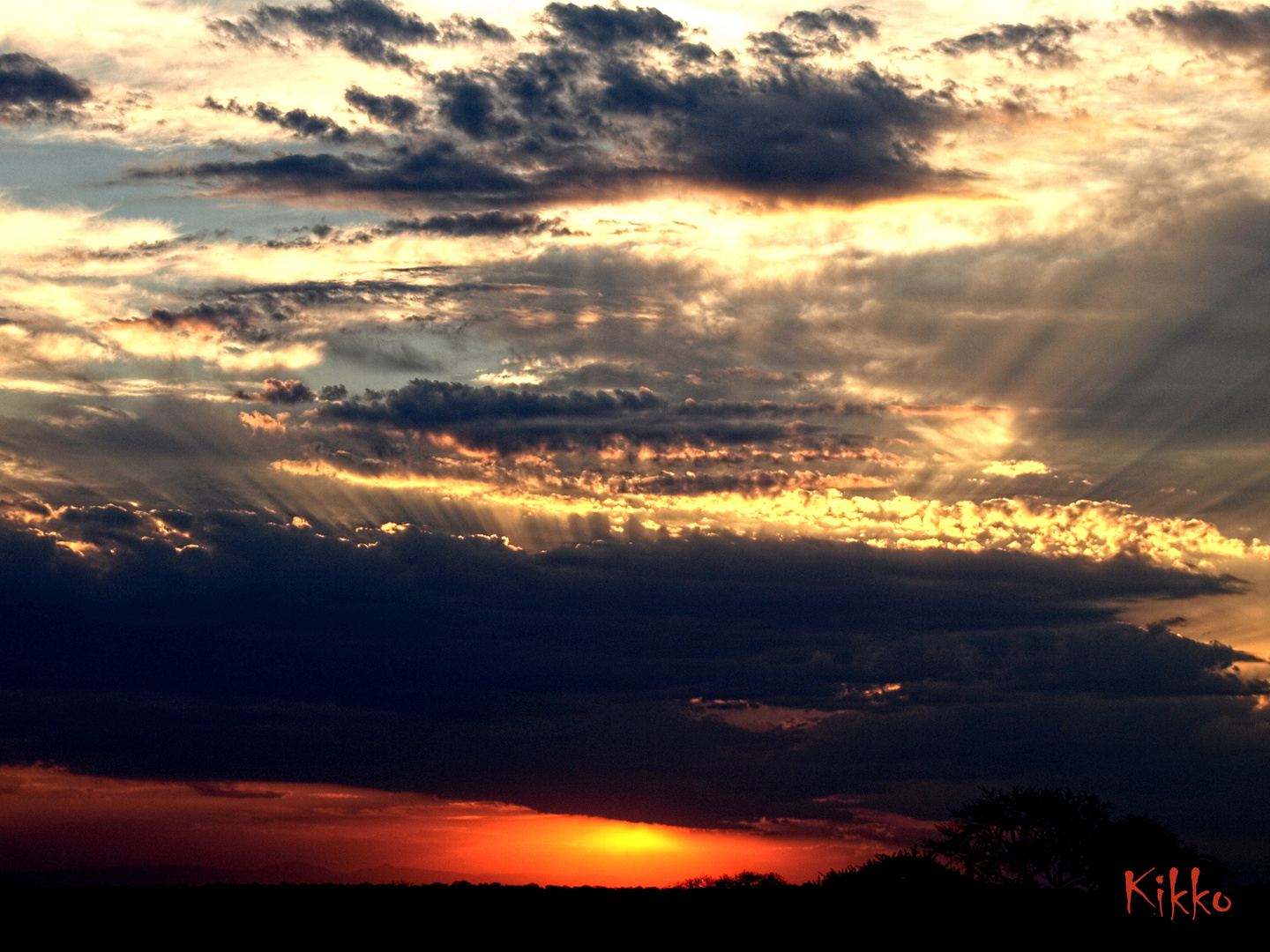 Sonnenuntergang im Krügerpark (Südafrika)