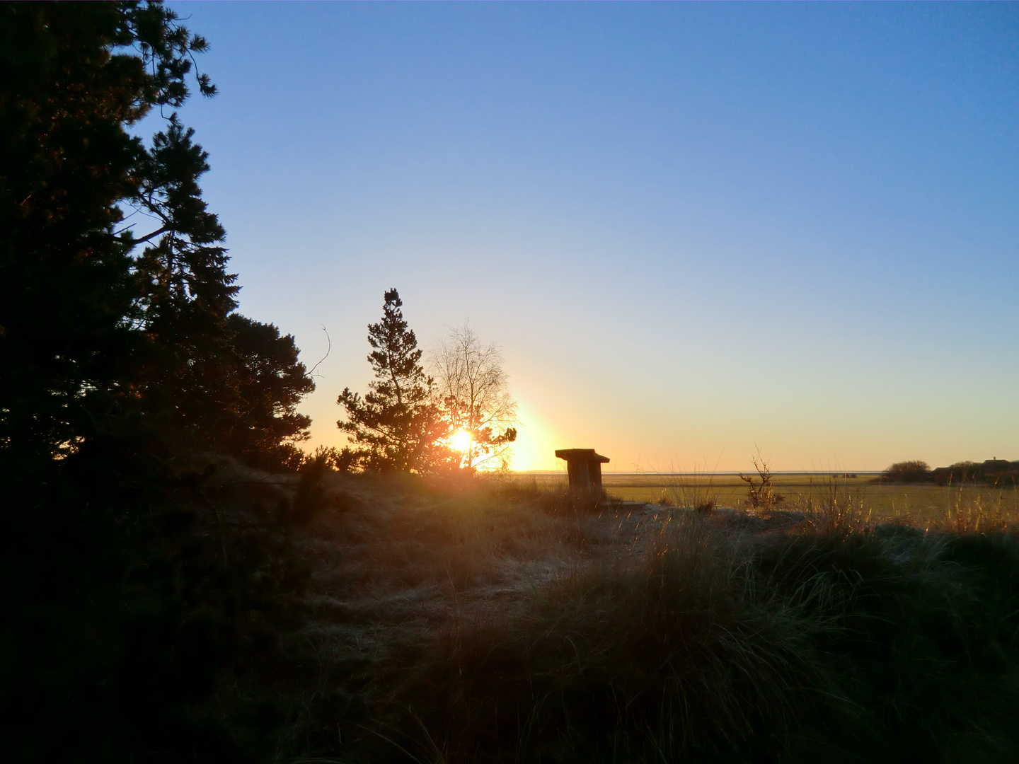 Sonnenuntergang im Küstenvorland