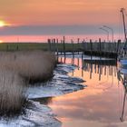 Sonnenuntergang im Kutterhafen