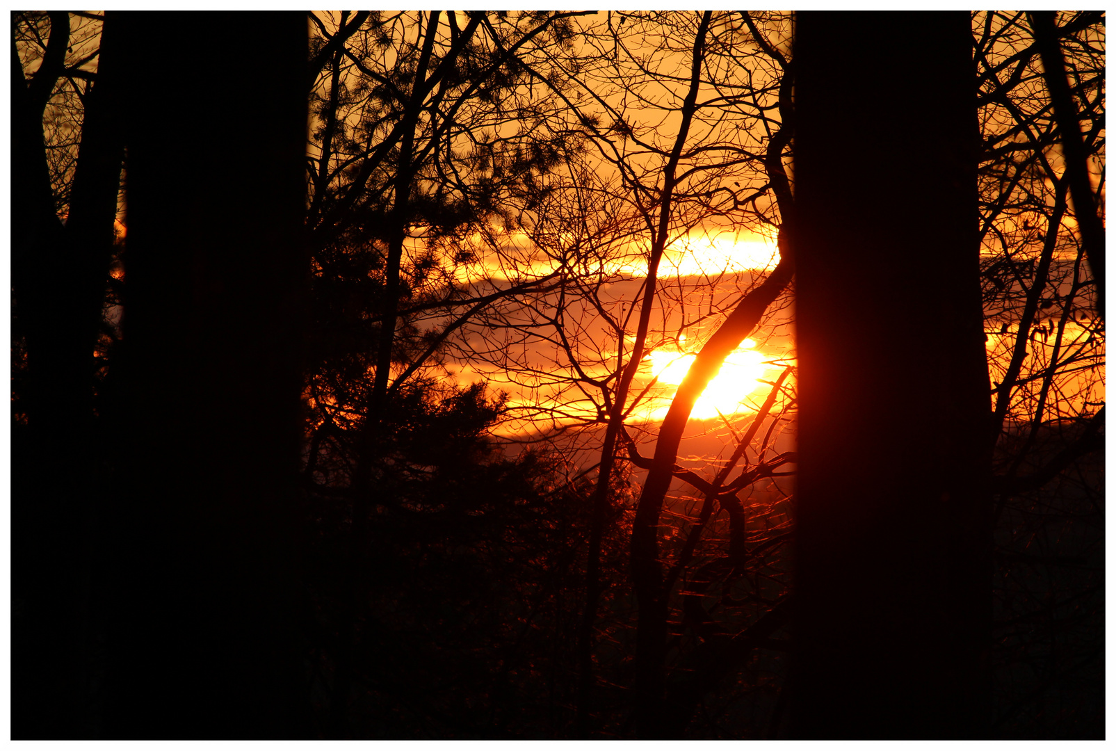 Sonnenuntergang im Lahnauer Wald