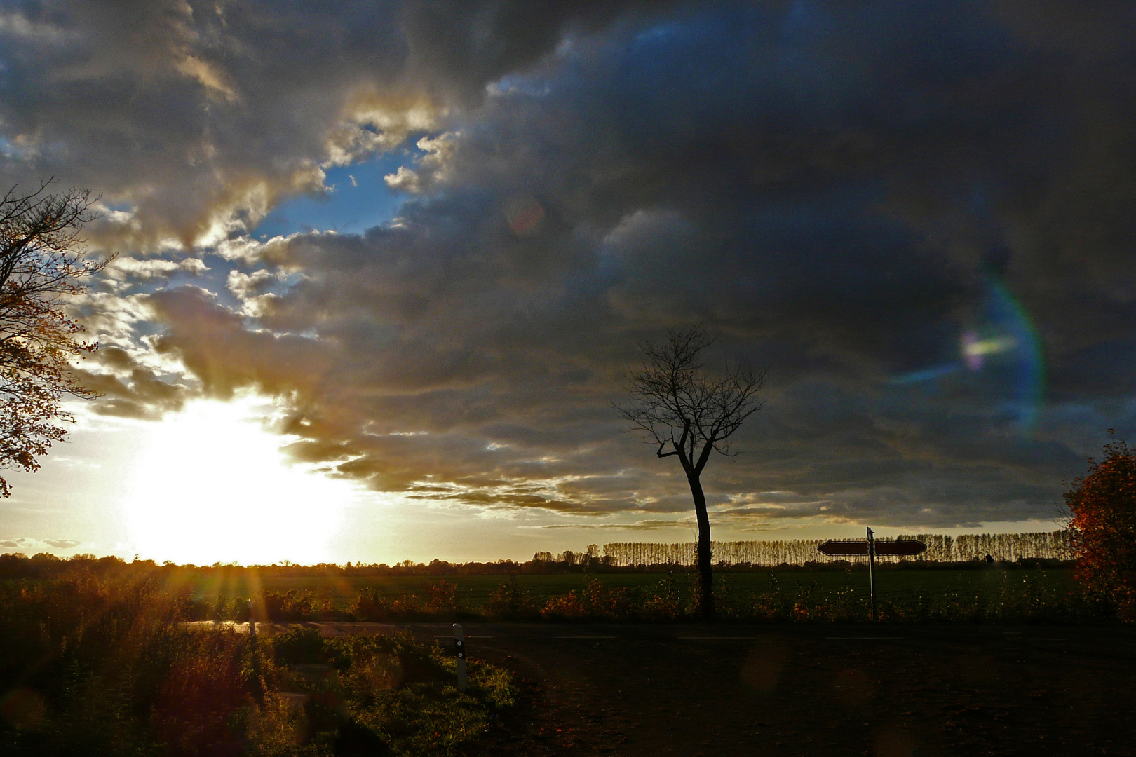 Sonnenuntergang im Linumer Bruch