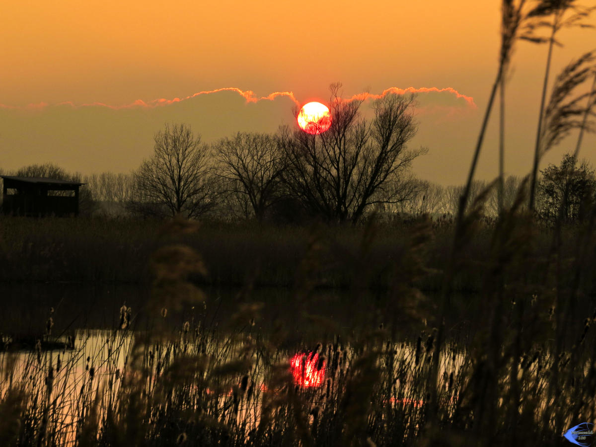 Sonnenuntergang im Linumer Bruch