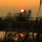 Sonnenuntergang im Linumer Bruch