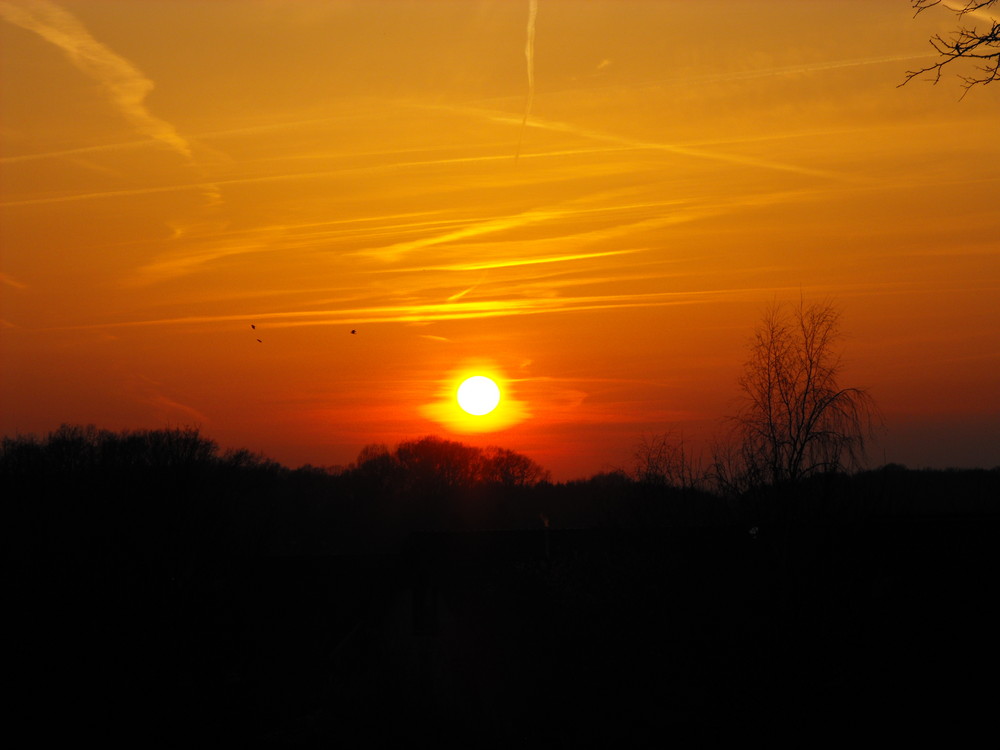 Sonnenuntergang im Losbergpark