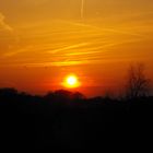 Sonnenuntergang im Losbergpark