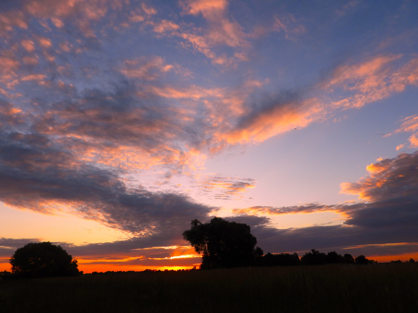 Sonnenuntergang im Luch