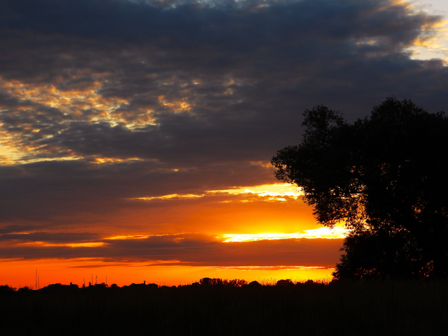 Sonnenuntergang im Luch2