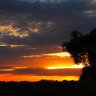 Sonnenuntergang im Luch2