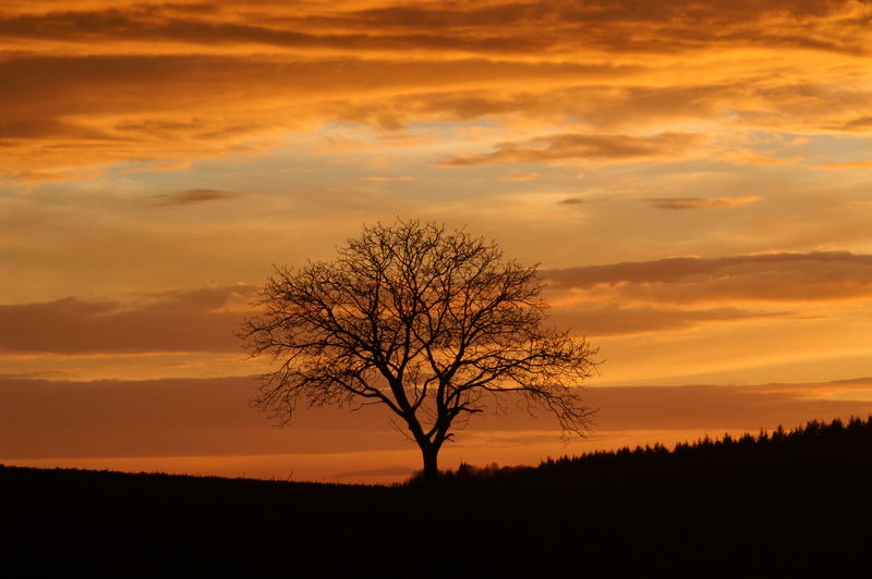 Sonnenuntergang im März