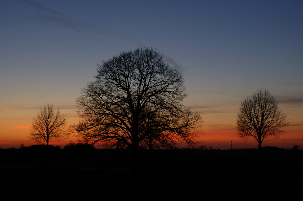 Sonnenuntergang im März 2009 in Uedem/Ndrh.