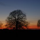 Sonnenuntergang im März 2009 in Uedem/Ndrh.