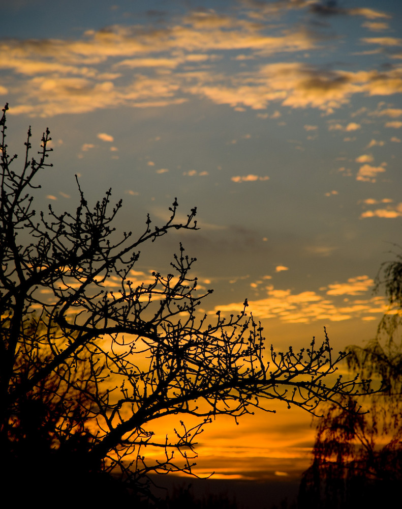 Sonnenuntergang im März