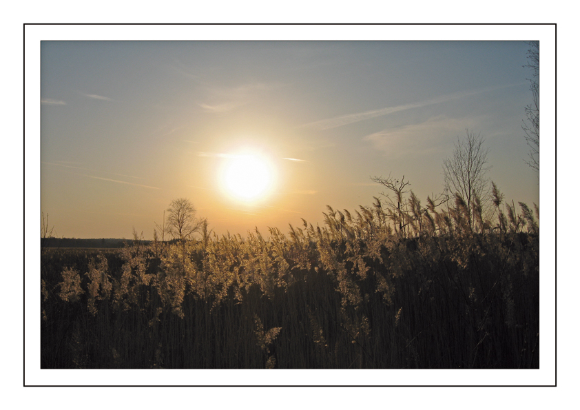 Sonnenuntergang im März