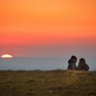 Sonnenuntergang im März