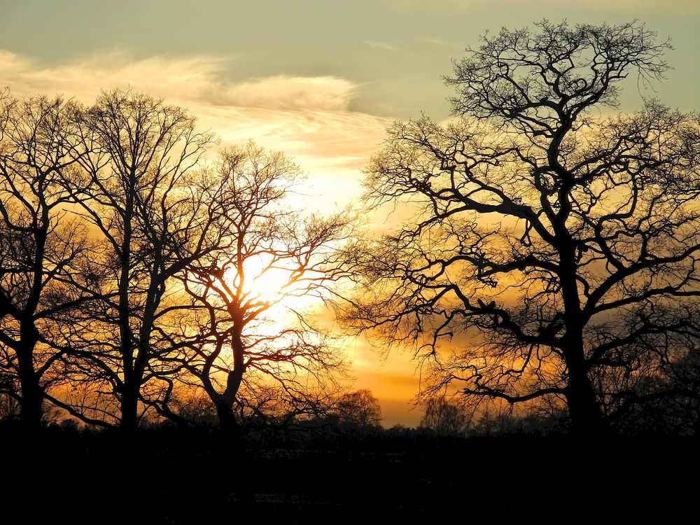 Sonnenuntergang im März