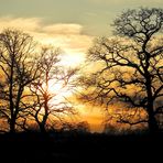 Sonnenuntergang im März