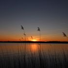 Sonnenuntergang im März  (Bad Zwischenahn)