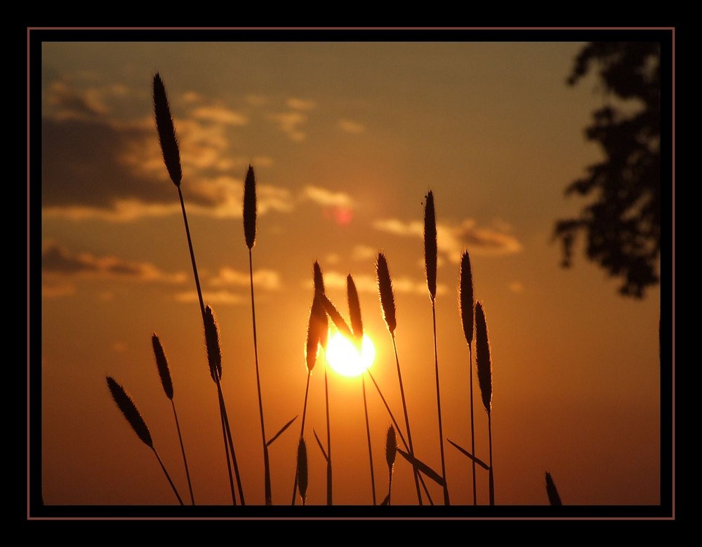 Sonnenuntergang im Mai 1