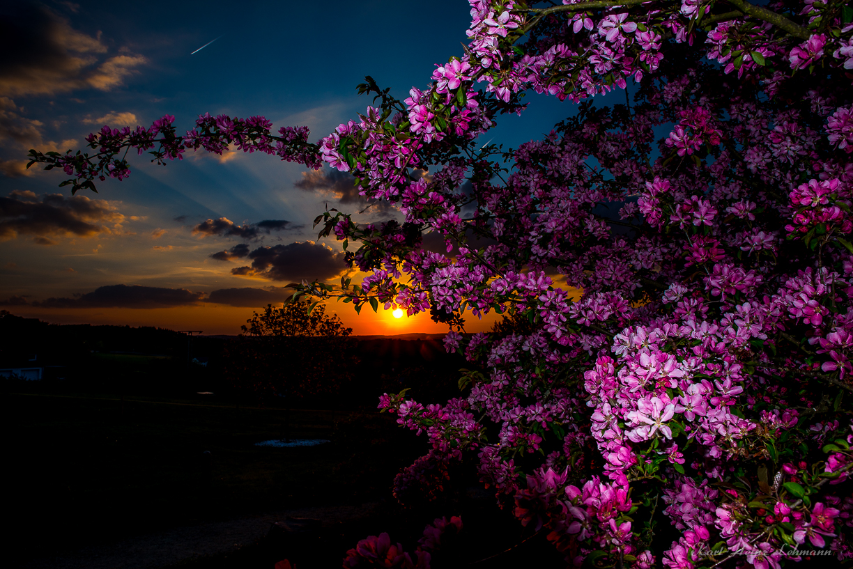 Sonnenuntergang im Mai