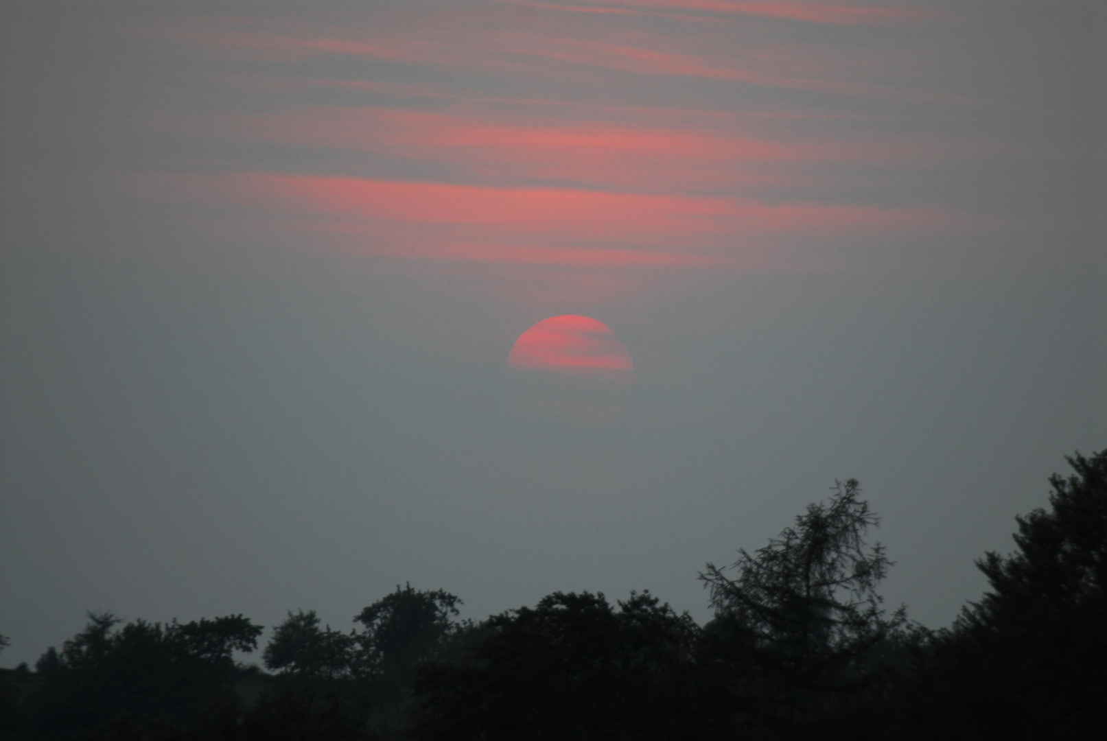 Sonnenuntergang im Mai