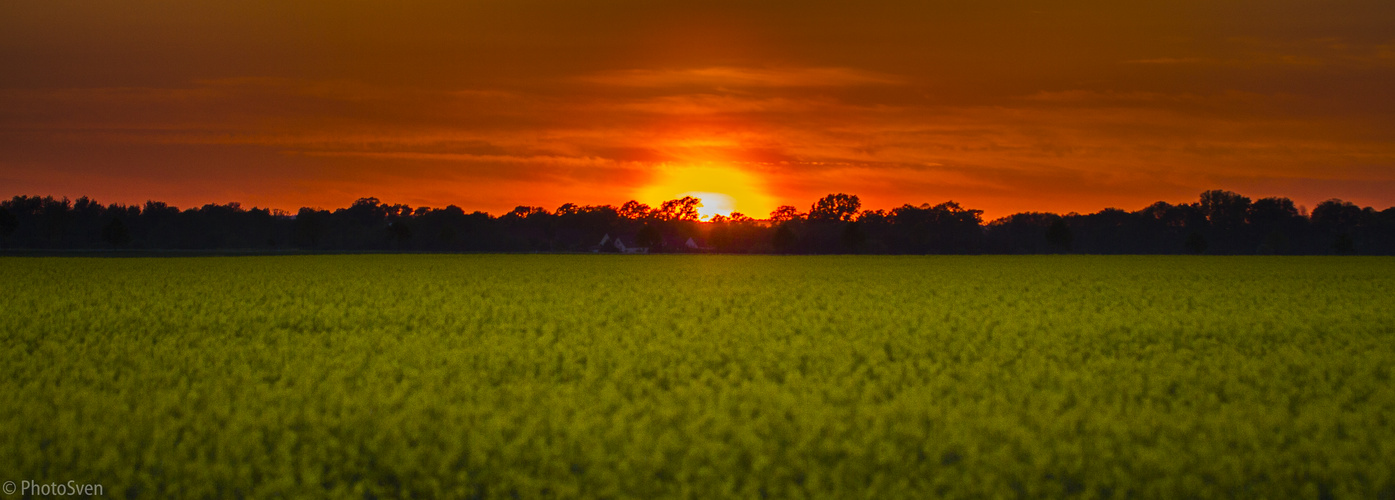 Sonnenuntergang im Mai