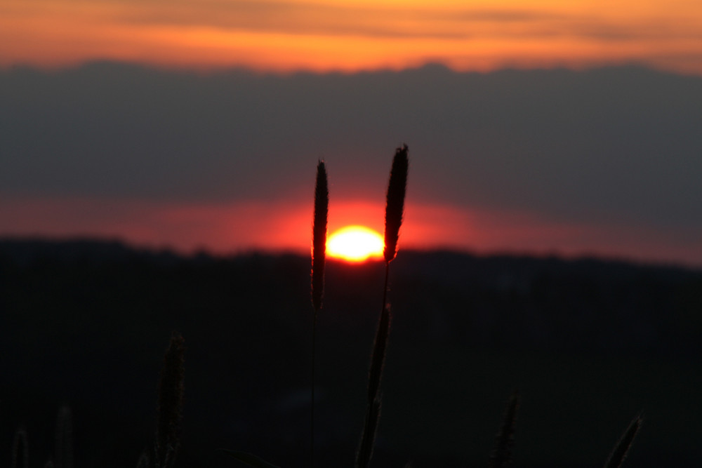 Sonnenuntergang im Mai die 2.