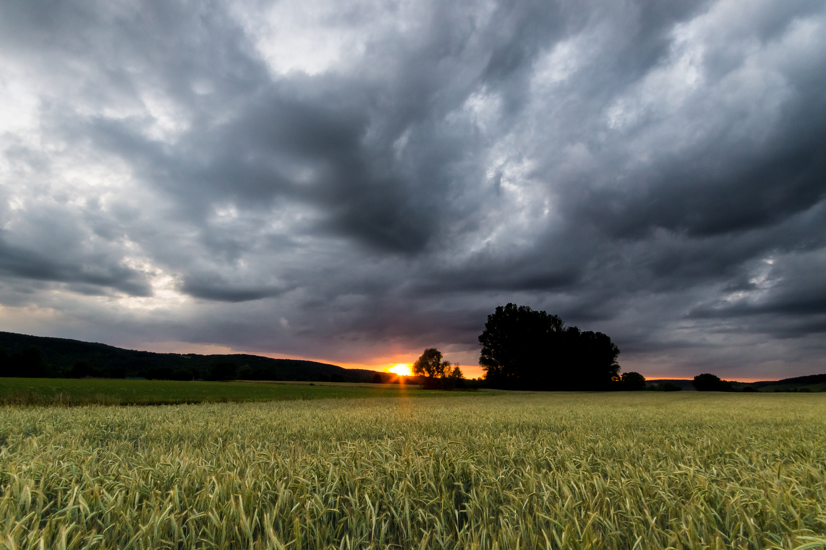 ... Sonnenuntergang im Maintal ...