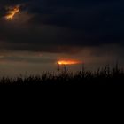 Sonnenuntergang im Maisfeld