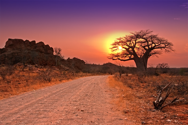 Sonnenuntergang im Mapungubwe Nationalpark in Südafrika