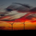 sonnenuntergang im Marchfeld 1