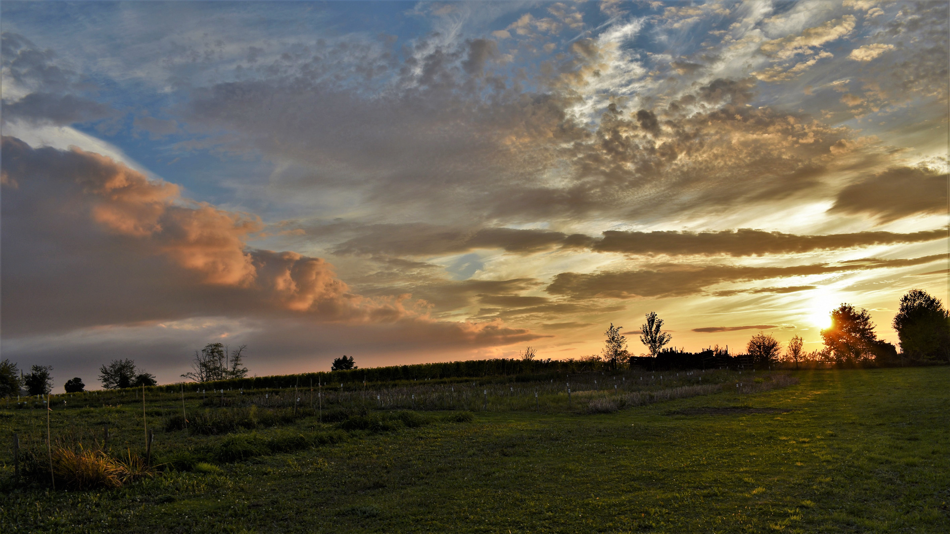 Sonnenuntergang im Markgräfler - Land